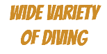 Wide Variety of diving